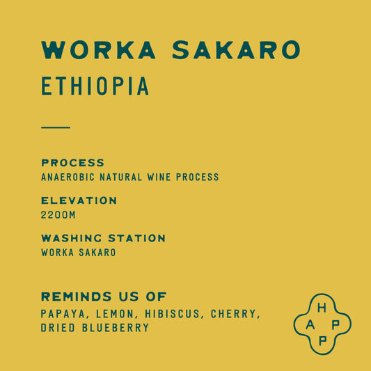 Ethiopia Worka Sakaro Anaerobic Natural